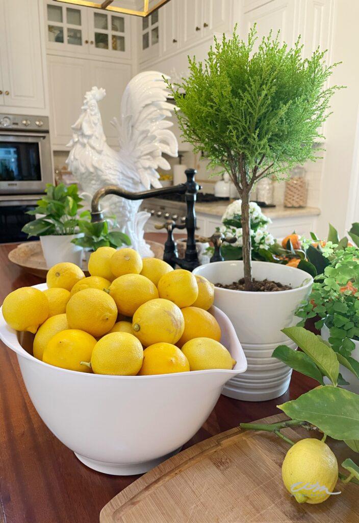 bowl of citrus on the kitchen counter 