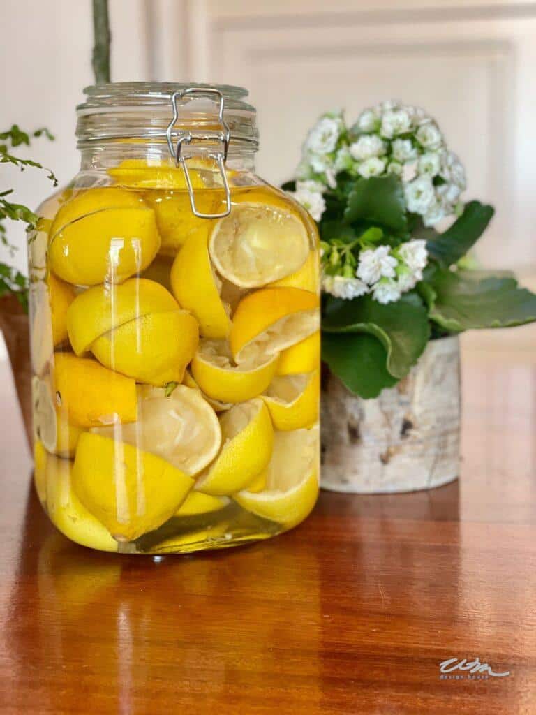 a jar of lemon rinds sitting on the kitchen counter 