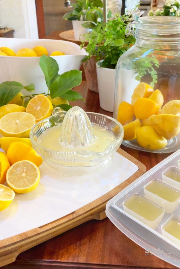 fresh lemons getting cut and squeezed to make lemon juice 