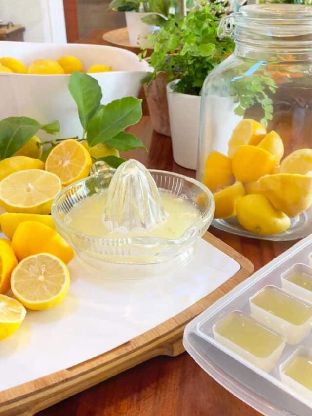 fresh lemons being squeezed into ice cube trays to save for fresh lemon juice.