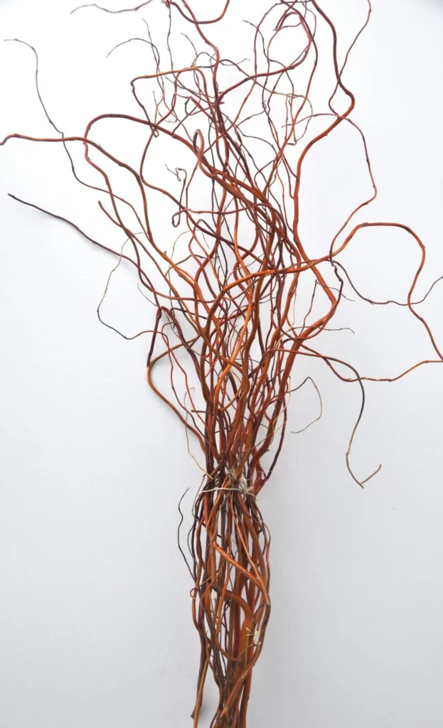 CURLY WILLOW TO USE ON PINE CONE WREATH