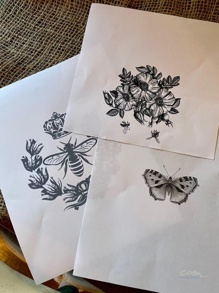 prints for botanical books 