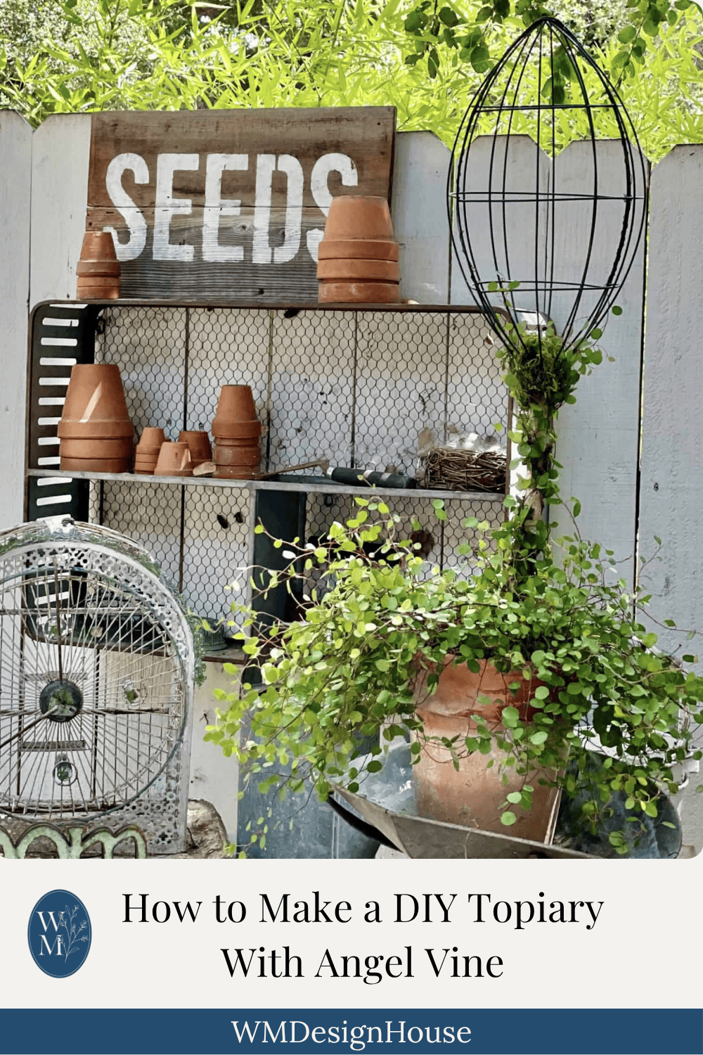 DIY Topiary with Angel Vine and Seed Pots for Garden Decor.
