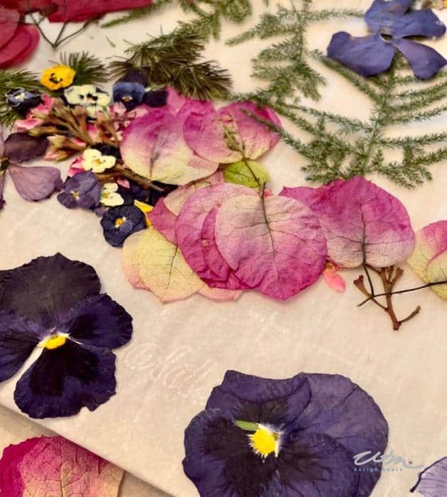 A variety of pressed flowers and leaves are elegantly arranged on a pale surface. The collection includes vibrant purple pansies, delicate pink bougainvillea petals, yellow-centered blooms, and finely textured fern fronds, creating a colorful, natural display.