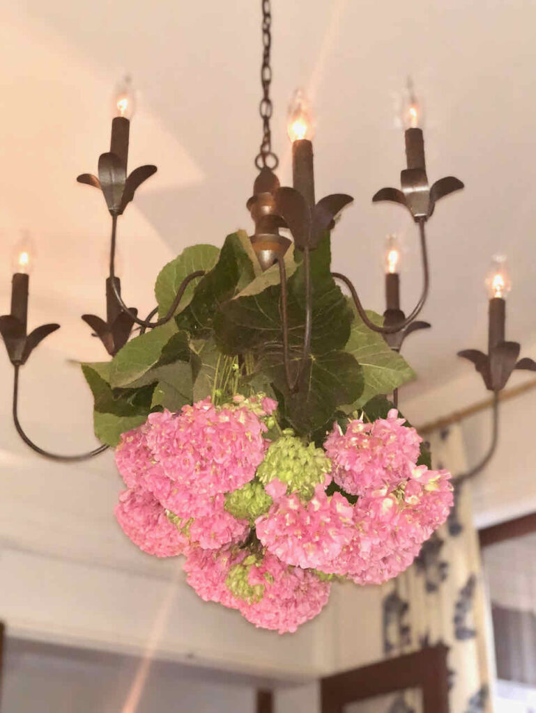 21 ways to decorate with hydrangeas-Hydrangeas tied to the bottom of a chandelier in the dining room. 