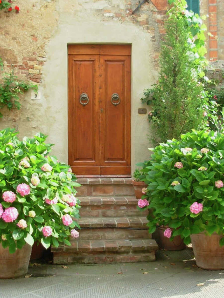 21 ways to decorate with hydrangeas-2 large hydrangea pots infront of a front door. 