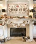 Fall Must Haves