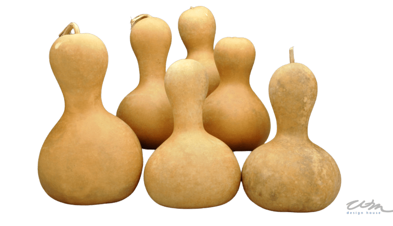 Bottleneck gourds
