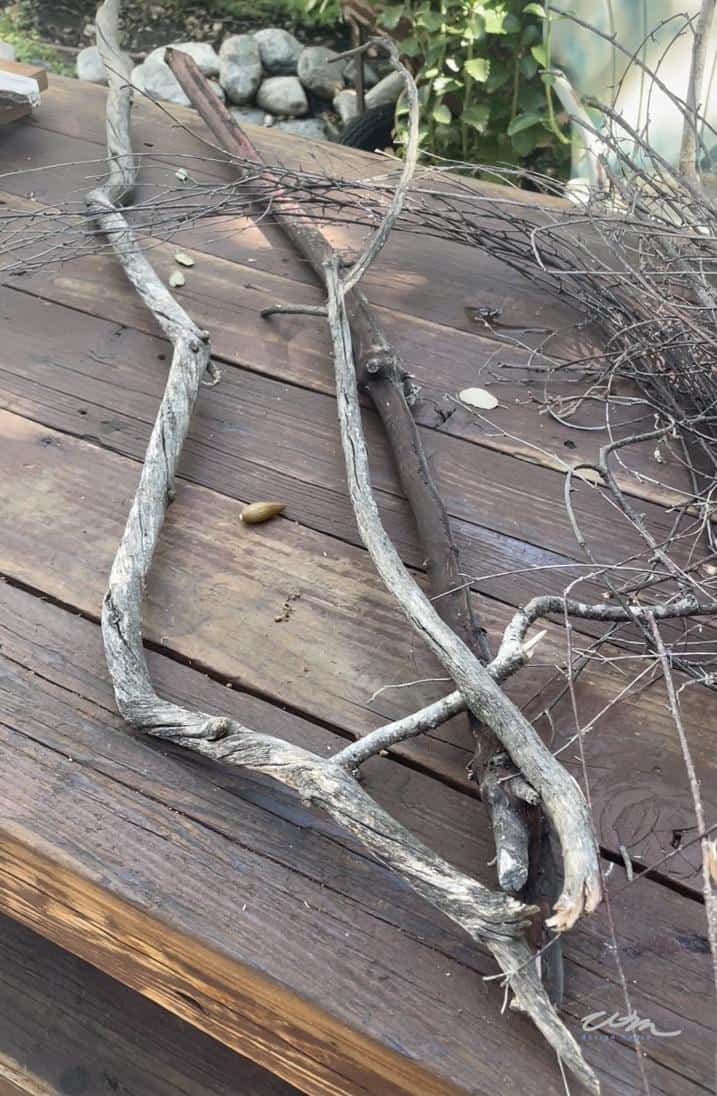 Making a DIY witch's broom with a large stick and foraged twigs