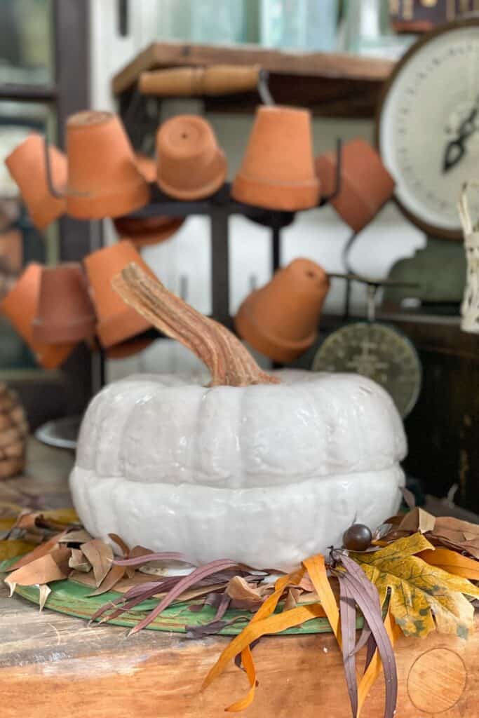 An image of a pumpkin-shaped cake with a natural stem sitting on a cake plate with fall leaves surrounding the plate. 