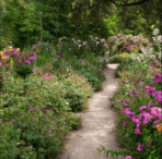 Preparing to Plant a Cut Flower Garden