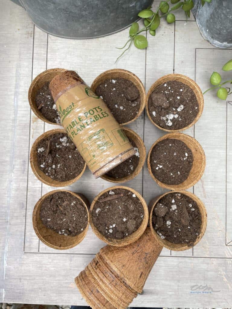 Plantable pots filled with seed starter potting mix
