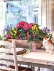 spring dough bowl