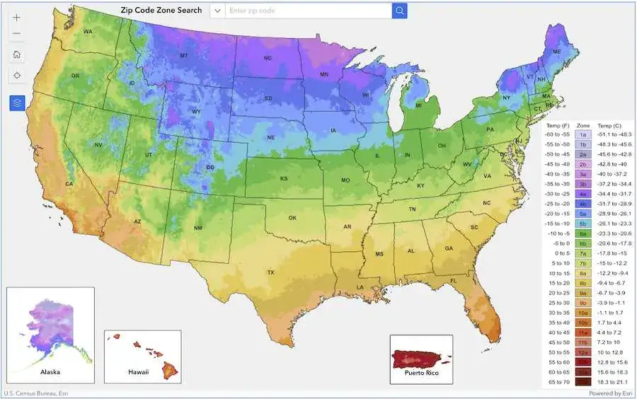 A color-coded map of the United States shows average minimum winter temperatures by USDA hardiness zones—essential info for gardeners seeking tips for beautiful roses—with cooler northern states (blue/purple) and warmer southern zones (yellow/green); insets show Alaska, Hawaii, and Puerto Rico.