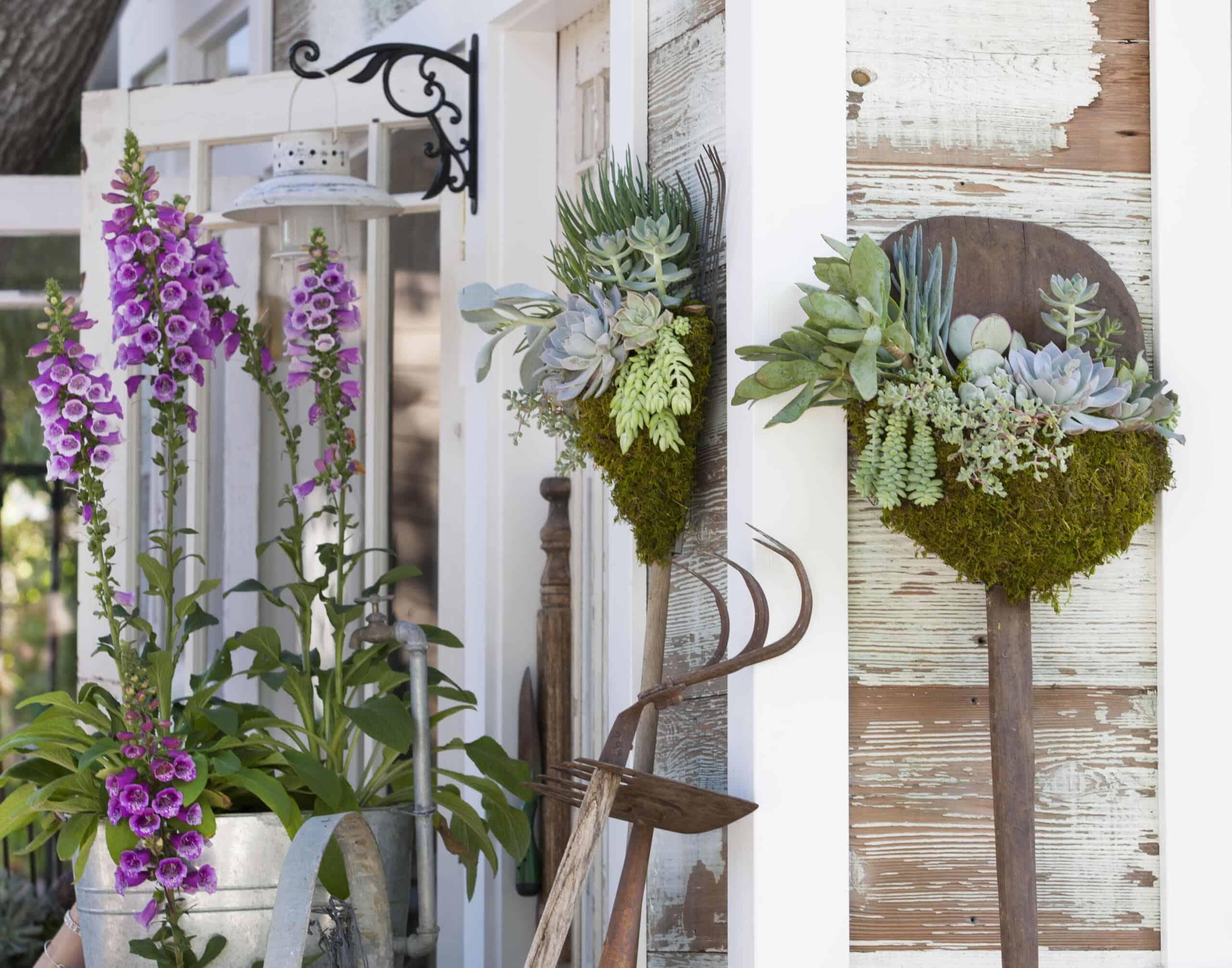 How to Repurpose Old Tools into Succulent Planters