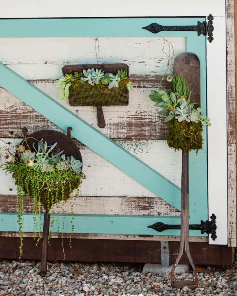 How to create the most amazing succulent planters 