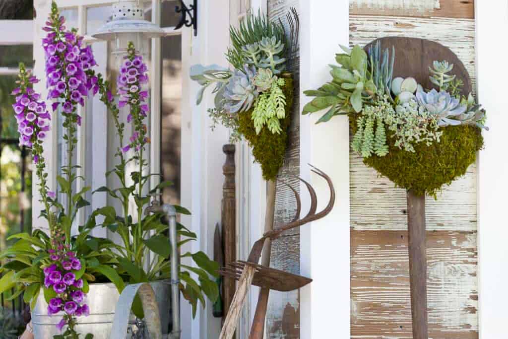 Garden art shovels with succulents resting against the side of the shed. 