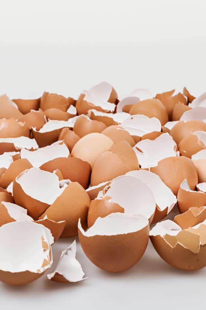 Eggshells for fertilizer 