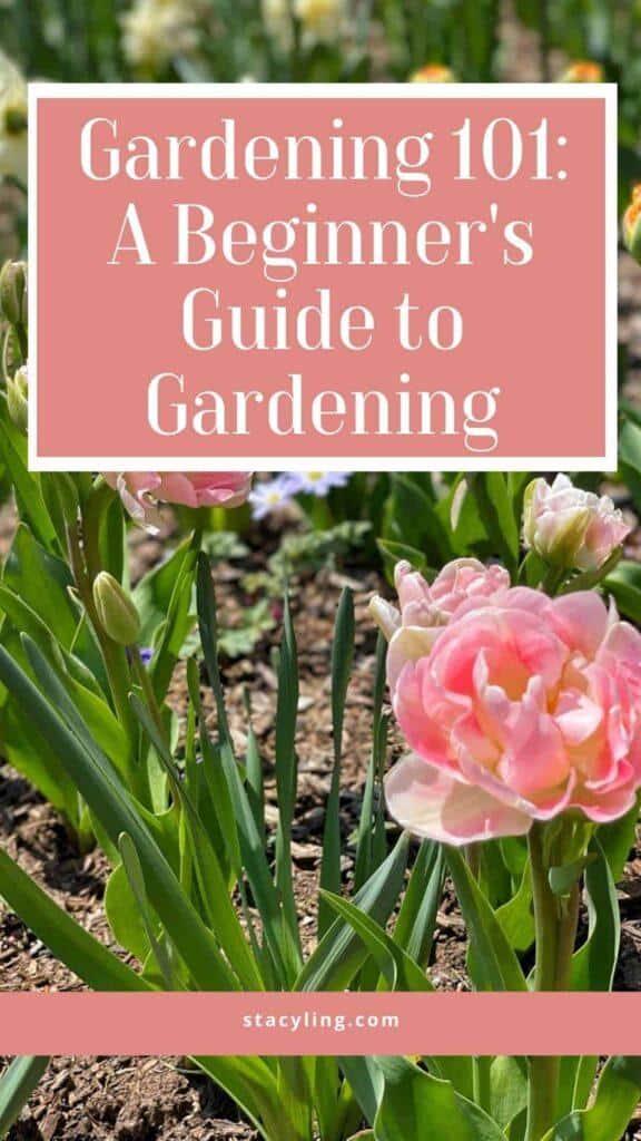 Gardening 101: A Guide for Beginners – Stacy Ling
