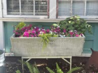 An old, weathered metal bathtub is repurposed as a planter, brimming with vibrant pink, white, and red spring gardening flowers. Green plants spill over the edge. The tub stands against a backdrop of a building with teal panels and a window with white blinds.