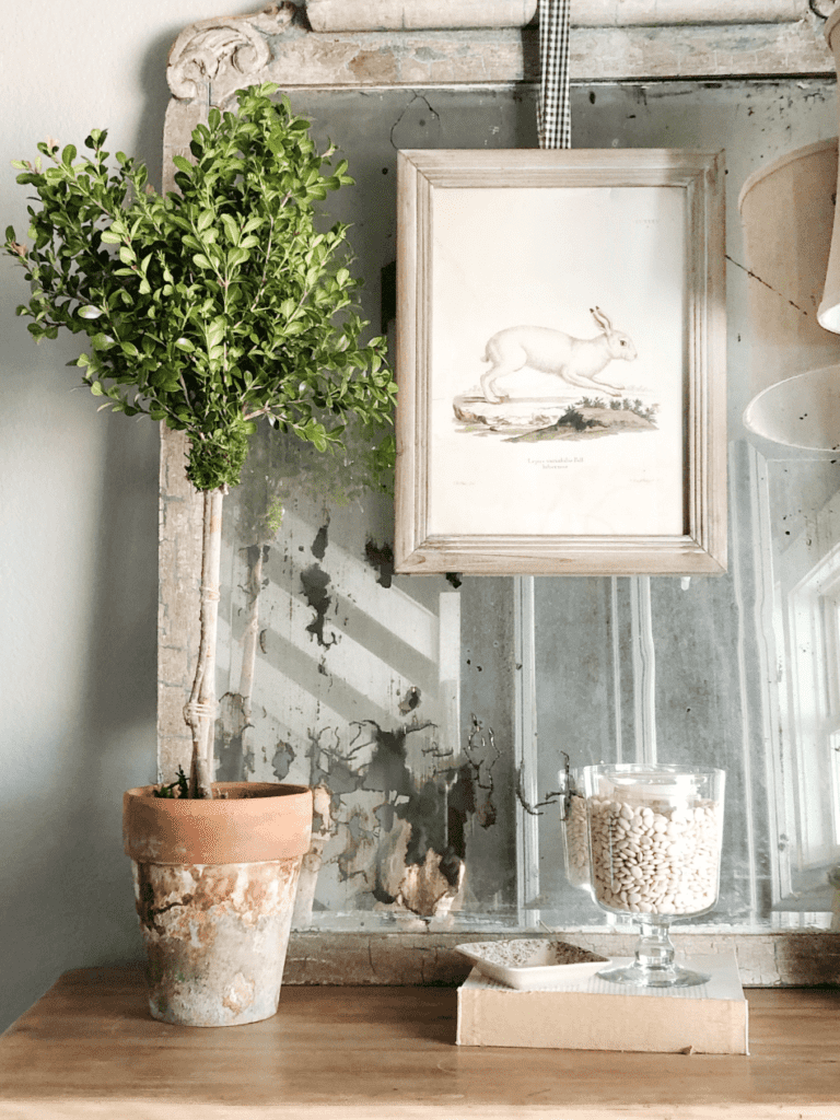 How To Make a Topiary with Live Boxwood Cuttings – Vintage Home