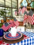 Fourth of July picnic