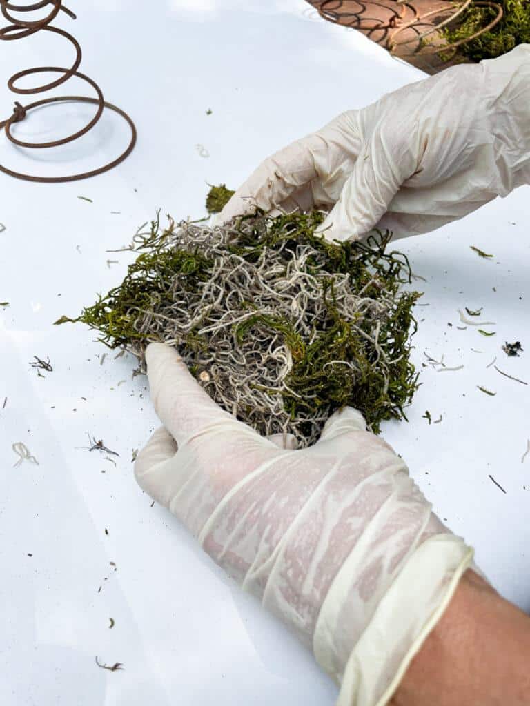 Molding a birds nest for a wreath 