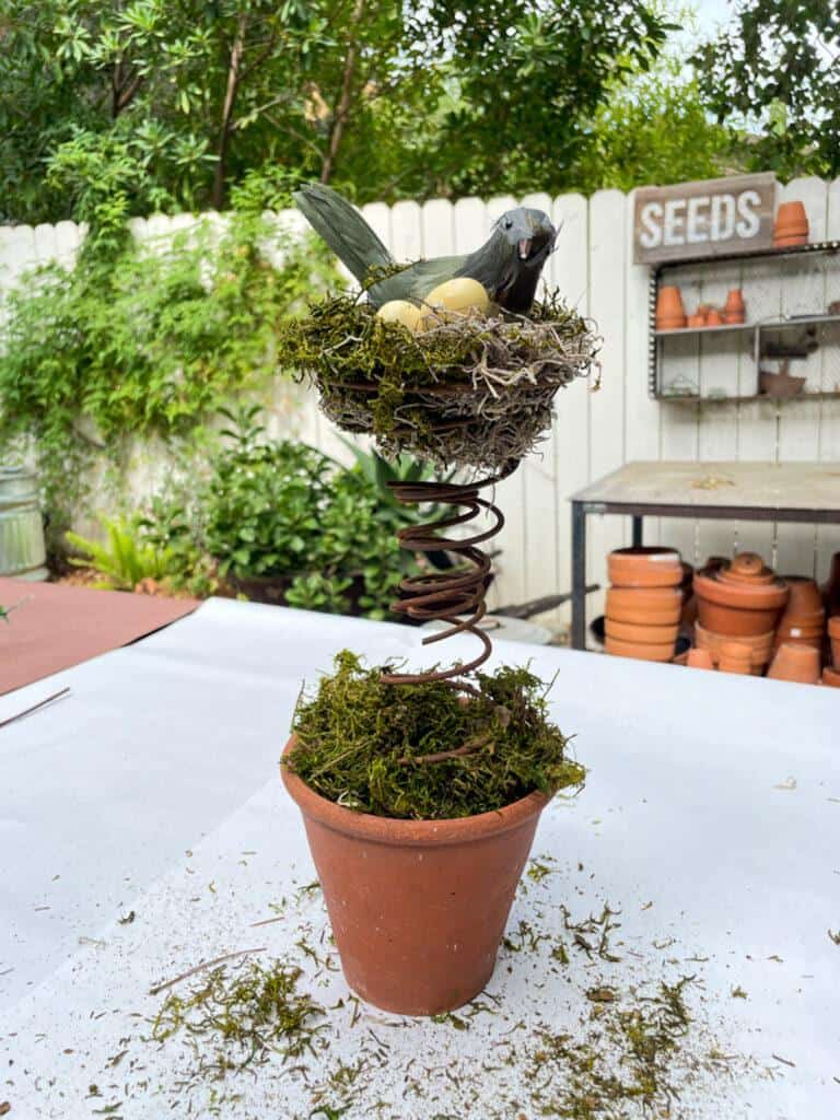 Birdsnest on old bed spring