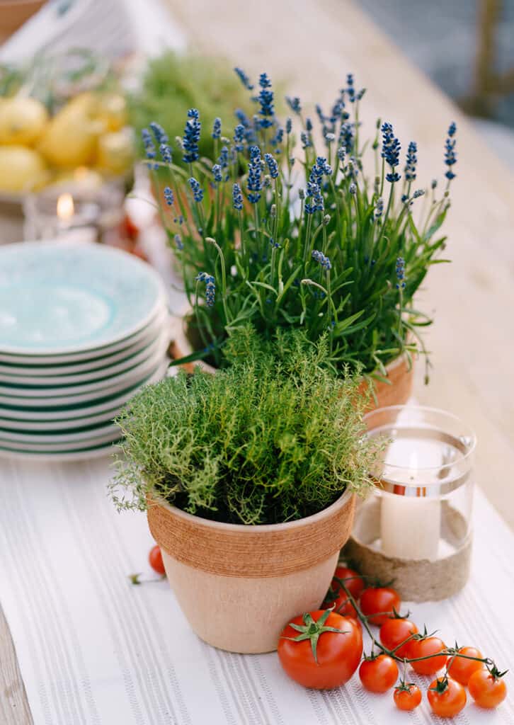 lavender on the table 