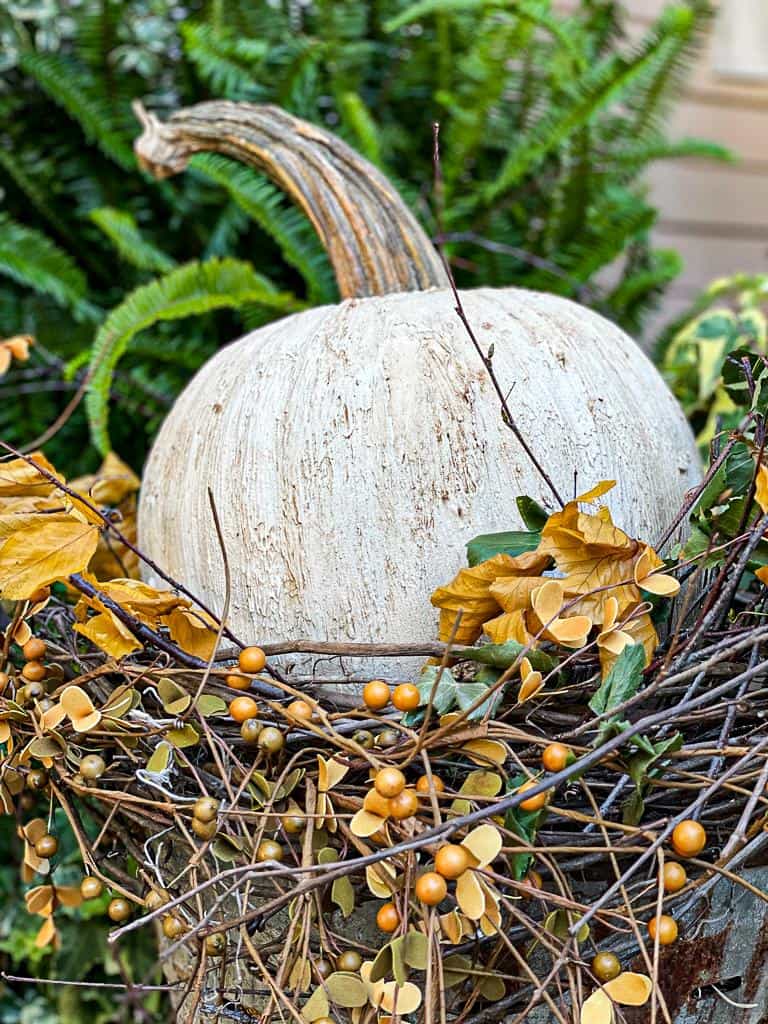 Pumpkin arrangement in Olive Bucket