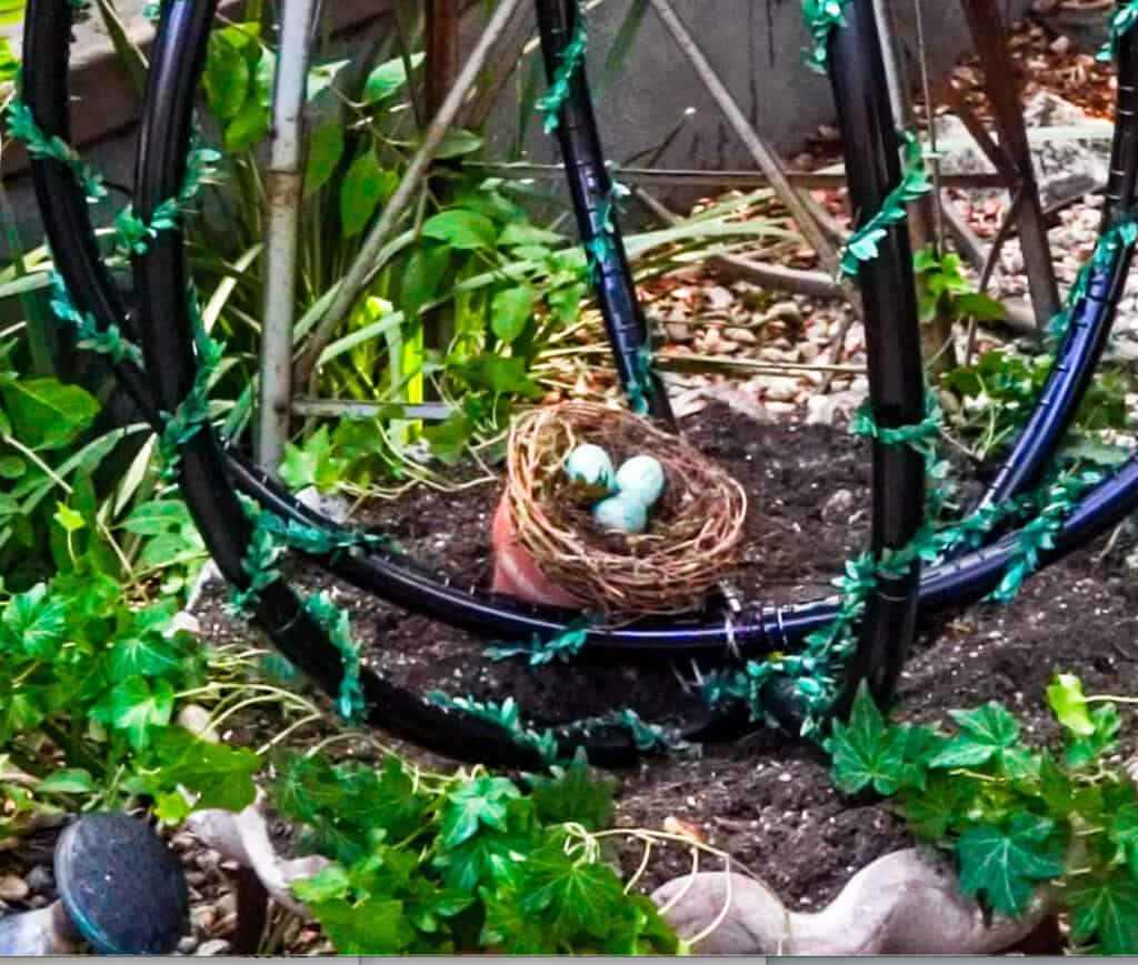 Covering the light switches of the lighted garden sphere with a bird nest