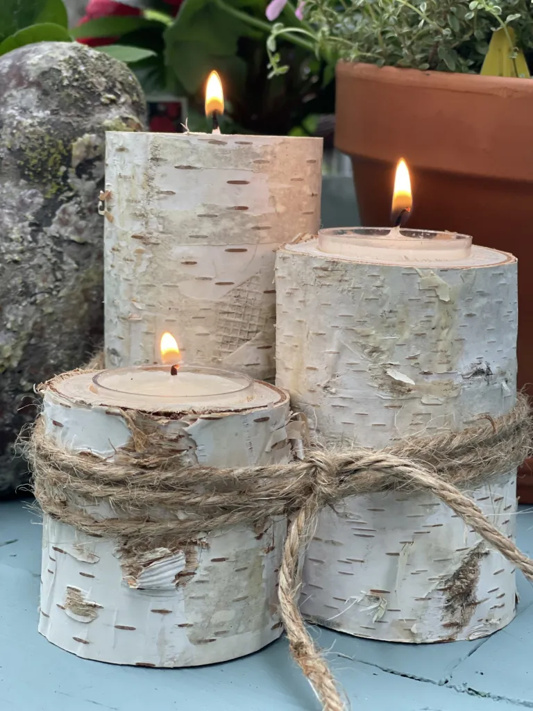 Birch log candle holders 