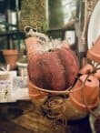 Dollar tree pumpkin transformation