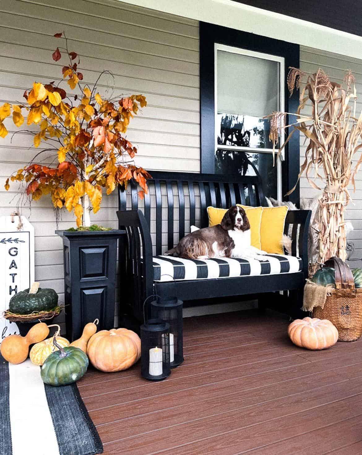 fall porch decor ideas for fall with a cozy seating area, fall throw pillows, pumpkins, cornstalks, and a diy faux fall tree