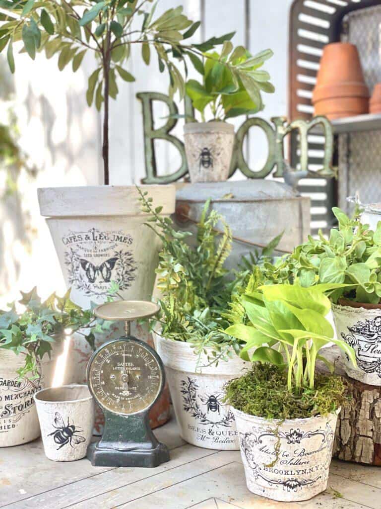 DIY French botanical pots