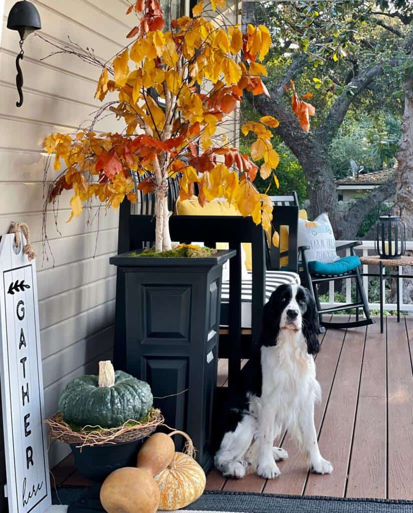 Fall Decor Pieces For Your Front Porch Starting at $10 at
