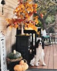 Easy and Simple Front Porch Fall Decorating Ideas on a Budget