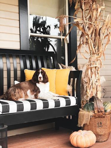 Easy and Simple Front Porch Fall Decorating Ideas on a Budget