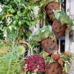 Rusty outdoor pumpkin topiary