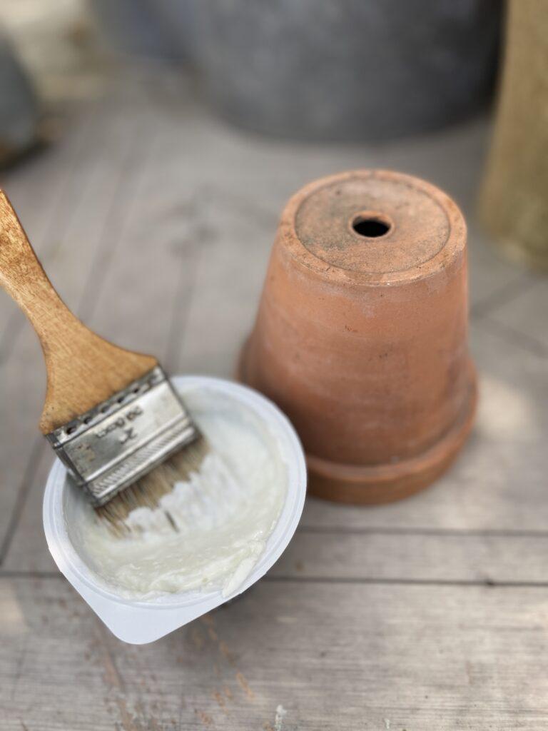 How to Age Terra Cotta Pots with yogurt