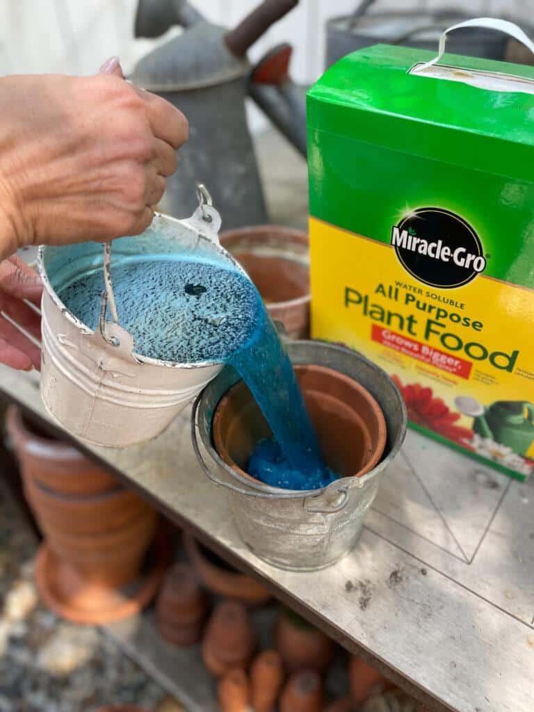 Aging Terracotta Pots with Fertilizer