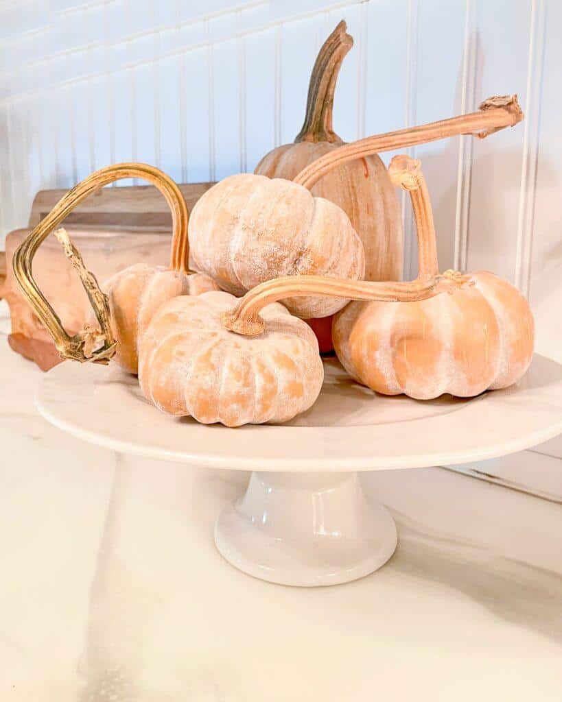 Styling Terra Cotta Pumpkins- A set of 8 terra cotta pumpkins sitting on the counter with real stems