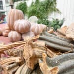 Natural pumpkin stems on terra cotta painted pumpkins