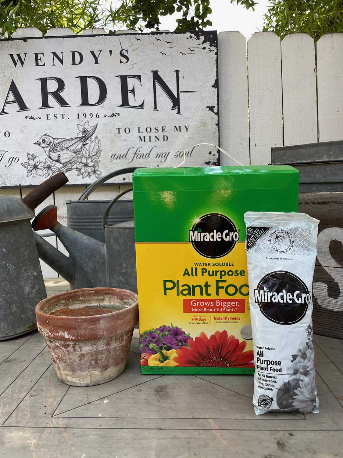 Miracle-Gro fertilizer and supplies to age terracotta pots using the fertilizer and water method
