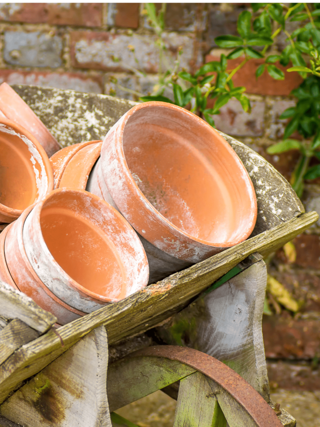 The Best Way To Age Terra Cotta Pots ( five different ways)