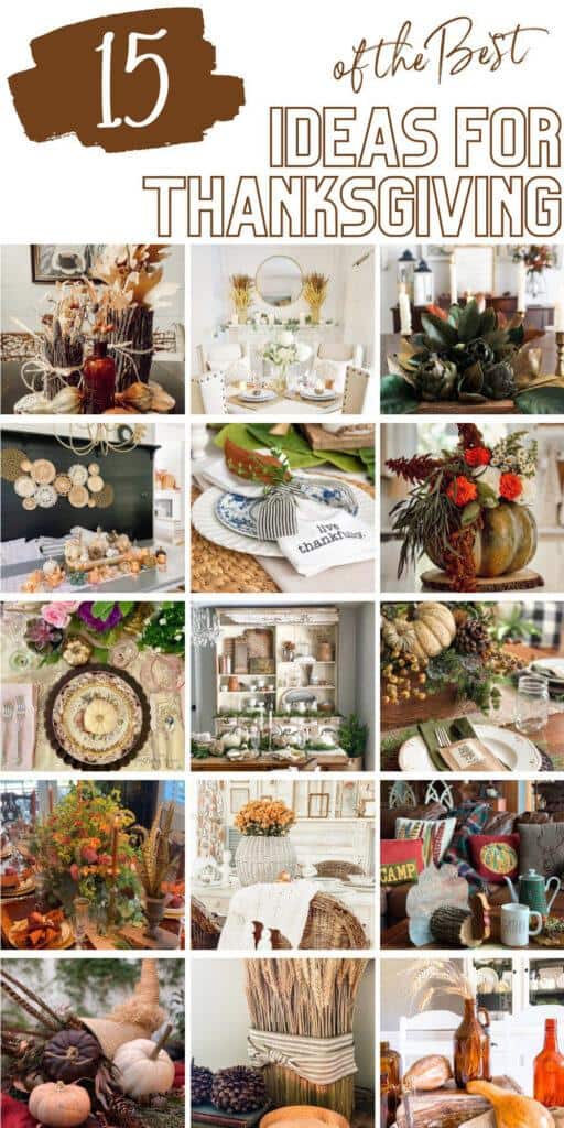 15 fall/Thanksgiving Party Inspirations