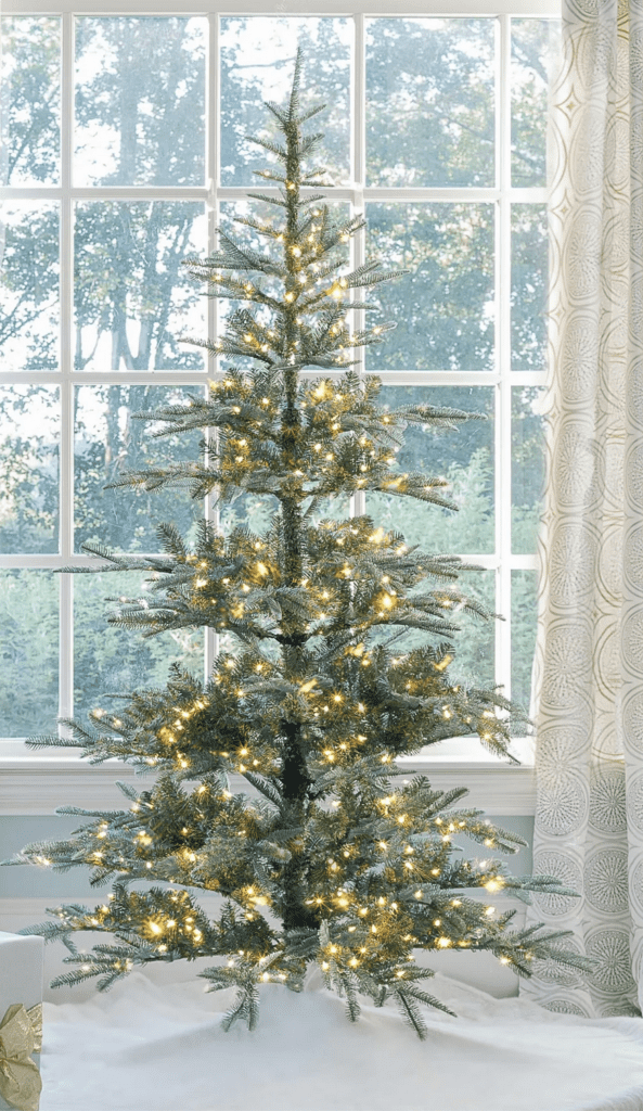 King of Christmas Noble Fir Tree 