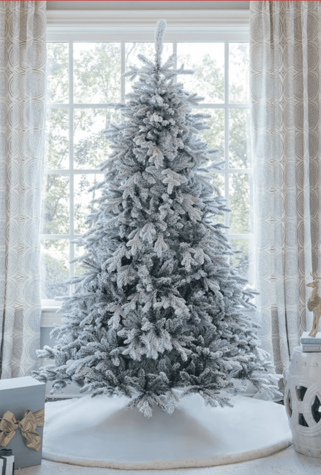 The Most Beautiful King of Christmas Trees