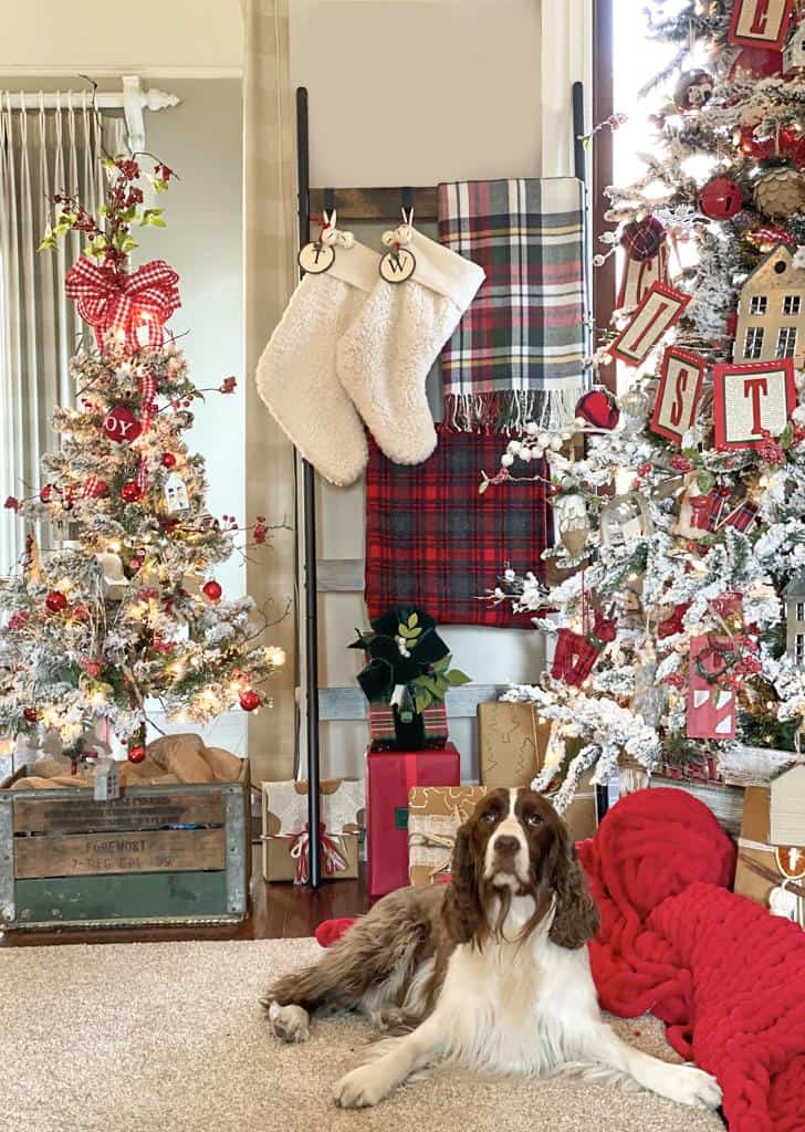 A brown and white dog lays on a red blanket next to festive Christmas decorations. The scene, fit for the King of Christmas Trees, includes Christmas trees adorned with red and white ornaments, stockings hanging on a ladder, gift boxes, and plaid accents.