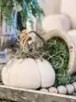 Regina's pumpkins